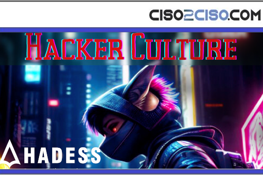 Hacker Culture