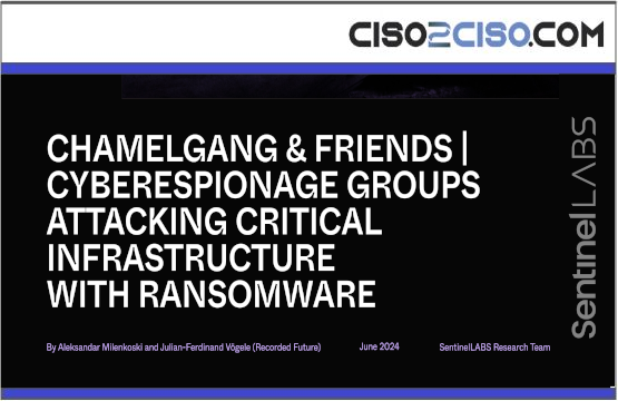 CHAMELGANG & FRIENDS | CYBERESPIONAGE GROUPS ATTACKING CRITICAL INFRASTRUCTURE WITH RANSOMWARE