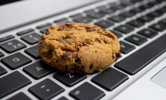 Hackers Prowling For Unencrypted BIG-IP Cookies, Warns CISA – Source: www.govinfosecurity.com