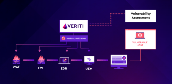 Patch-22: The Catch of Waiting to Fix Cybersecurity Vulnerabilities  – Source: securityboulevard.com