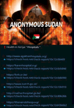 Sudanese Brothers Arrested in ‘AnonSudan’ Takedown – Source: krebsonsecurity.com