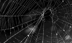 Feds Indict 5 Suspects Tied to Scattered Spider Cybercrime – Source: www.databreachtoday.com