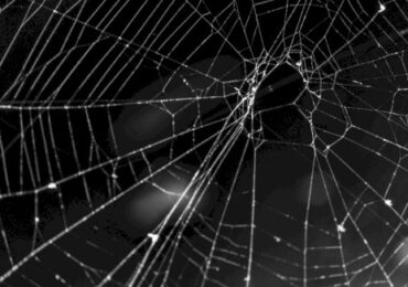 Feds Indict 5 Suspects Tied to Scattered Spider Cybercrime – Source: www.databreachtoday.com