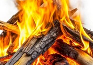 Linux Malware WolfsBane and FireWood Linked to Gelsemium APT – Source: www.infosecurity-magazine.com