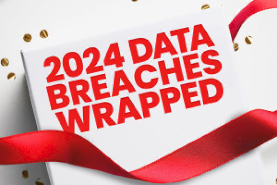 2024 Data Breaches Wrapped – Source:www.mcafee.com