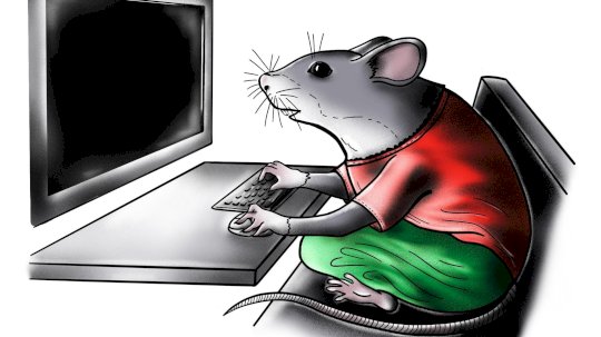 “Ratten”-Malware greift Kameras und DVR an – Source: www.csoonline.com