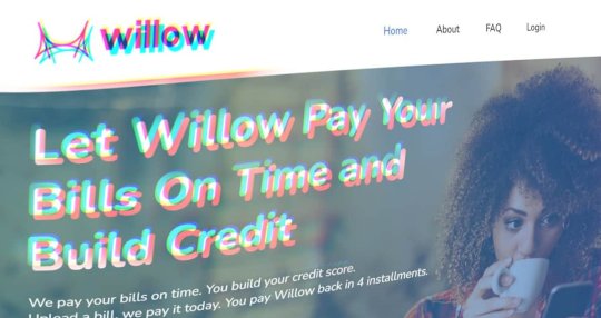 Fintech Bill Pay Platform “Willow Pays” Exposes Over 240,000 Records – Source:hackread.com