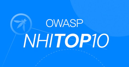 Do We Really Need The OWASP NHI Top 10? – Source:thehackernews.com