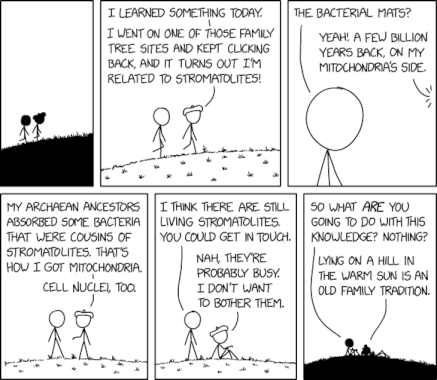 randall-munroe’s-xkcd-‘stromatolites’-–-source:-securityboulevard.com