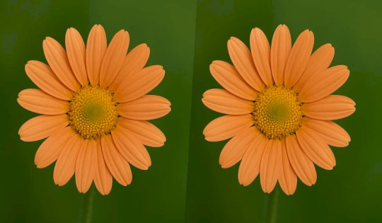 Why Image Quality Drops When Resizing a JPEG (and How to Fix It) – Source:hackread.com