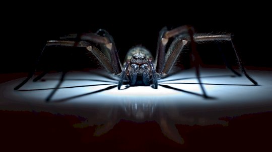 threat-intelligence-plattformen-–-ein-kaufratgeber-–-source:-wwwcsoonline.com