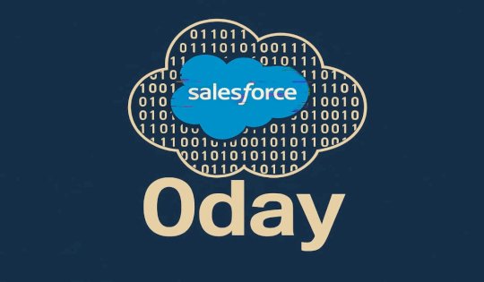 Salesforce Industry Cloud Hit by 20 Vulnerabilities Including 0days – Source:hackread.com