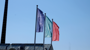 Hackerangriff treibt Serviettenhersteller Fasana in die Insolvenz – Source: www.csoonline.com
