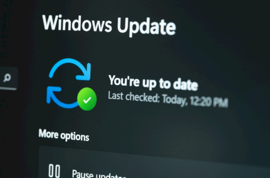 Microsoft Patch Tuesday, July 2025 Edition – Source: krebsonsecurity.com
