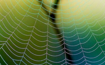 Anatomy of a Scattered Spider attack: A growing ransomware threat evolves – Source: www.csoonline.com