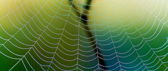 anatomy-of-a-scattered-spider-attack:-a-growing-ransomware-threat-evolves-–-source:-wwwcsoonline.com