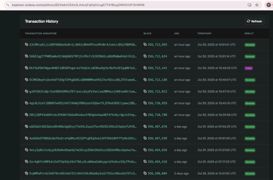 Malicious AI-generated npm package hits Solana users – Source: securityaffairs.com