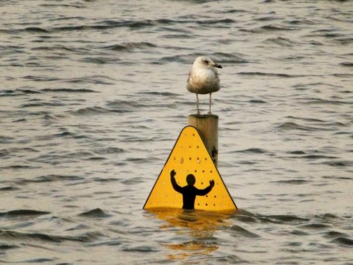 there-are-plenty-of-phish-in-the-sea:-here’s-how-to-avoid-them-–-source:-wwwcyberdefensemagazine.com