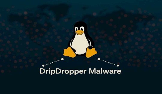 New DripDropper Malware Exploits Linux Flaw Then Patches It Lock Rivals Out – Source:hackread.com