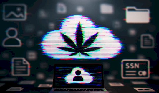 Nearly 1M SSNs and Health Records Exposed in Marijuana Patient Database – Source:hackread.com