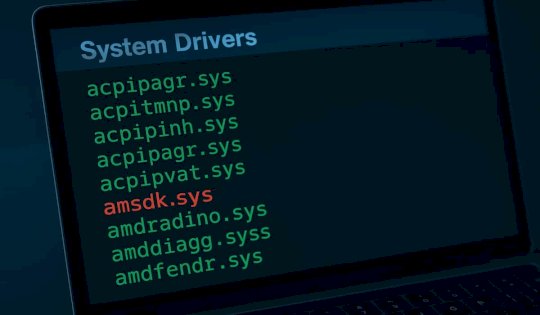 Silver Fox APT Exploits Signed Windows Driver to Deliver ValleyRAT – Source:hackread.com