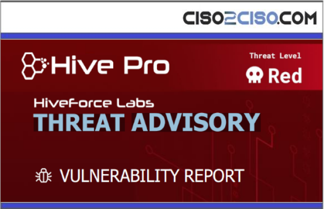 New-Vulnerability-Report