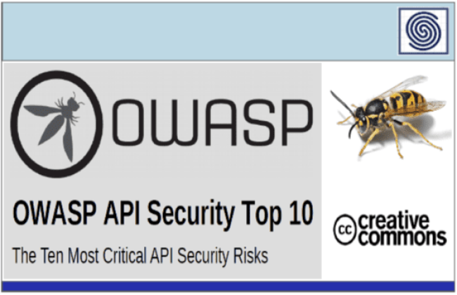OWASP API Security Top 10 - The Ten Most Critical API Security Risks by creative commons